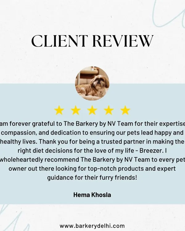 This wonderful review from Hema highlights the trust and partnership I strive to build with every client. My goal is not just to provide food, but to offer expert guidance to help you make the best diet decisions for your furry friend.