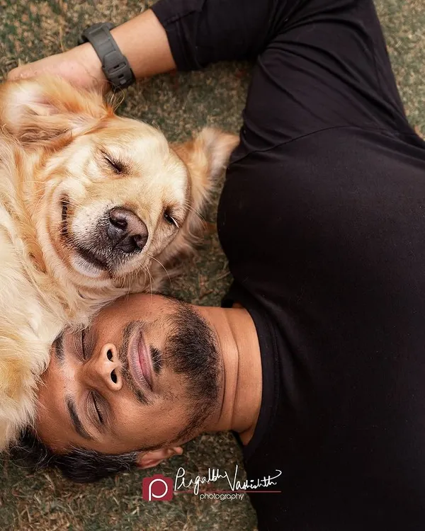 There's nothing quite like a peaceful nap with your best friend. This overhead shot captures a moment of pure trust and contentment between a man and his Golden Retriever.