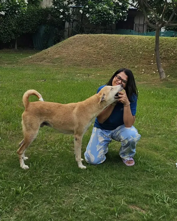 A beautiful moment of affection between a pet parent and her Indie dog. Our farm is a place for you to reconnect with your furry friend.