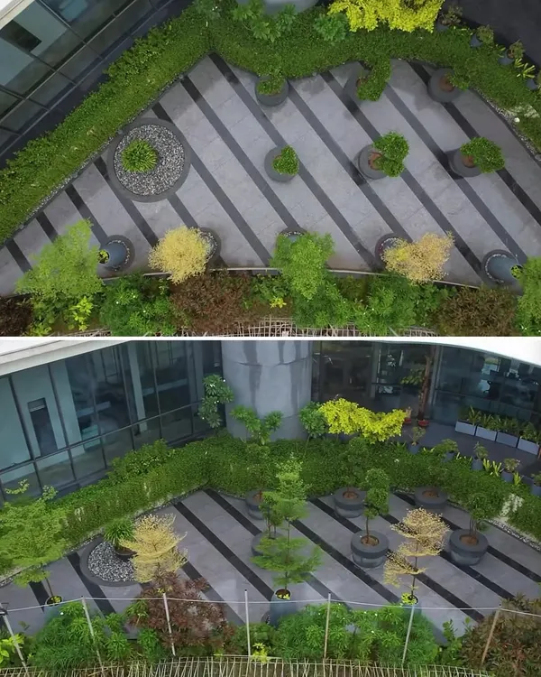 An aerial view of the 'Stripe Play' corporate plaza. The design uses striking striped patterns in the flooring, softened by synchronized planters and green edges, creating a green refuge with a quirky, modern edge.