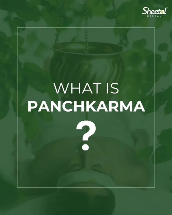 What exactly is Panchakarma? This therapy, featuring the iconic Shirodhara treatment, is Ayurveda's signature method for detoxification. It's a comprehensive system designed to purify the body, mind, and spirit, helping to prevent disease and promote wellness.