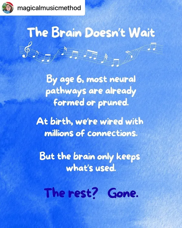 This is a powerful reminder of why the early years are so crucial. A child's brain is rapidly forming connections, and it keeps what is used. Consistent musical exposure helps build and strengthen vital neural pathways for life.