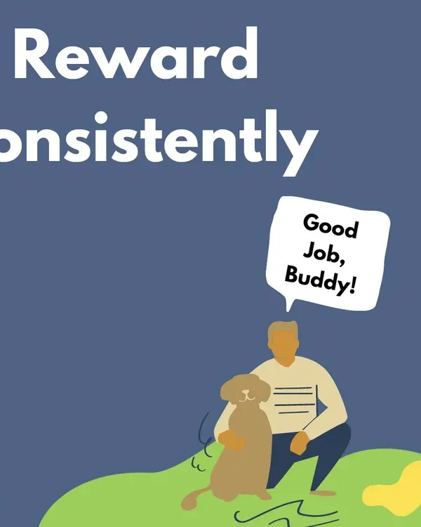 The key to successful toilet training is positive reinforcement! When your puppy goes in the right spot, reward them enthusiastically. This makes them want to repeat the behavior.