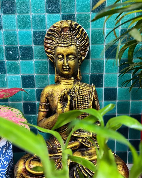 I love creating peaceful corners by pairing plants with serene decor. This golden Buddha statue, set against a vibrant blue tile background and framed by green leaves, creates a perfect spot for meditation and calm.