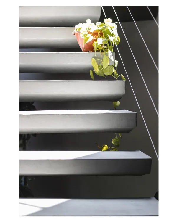 A close-up of the custom-designed concrete staircase. Each step has a unique, soft-edged profile, transforming a simple functional element into a piece of minimalist sculpture.