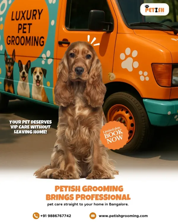 Your pet deserves VIP care without the stress of leaving home. My fully-equipped grooming van brings the complete salon experience to you, ensuring your best friend is comfortable and pampered.