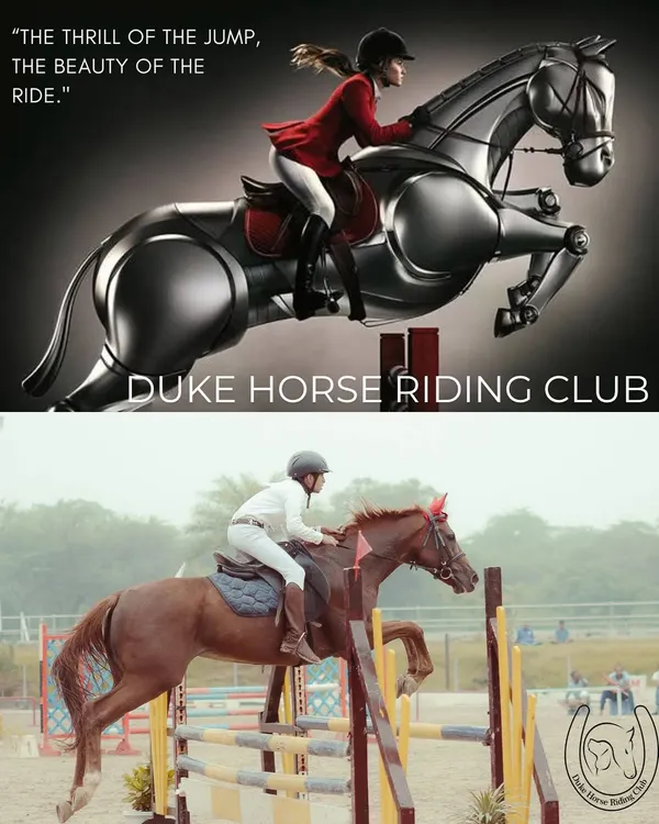 The thrill of the jump, the beauty of the ride. This image captures the power and excitement of show jumping, a discipline we specialize in.