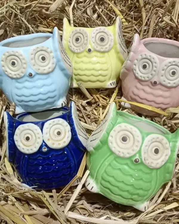 Add some fun to your plant collection with these colorful, owl-shaped ceramic planters. They are perfect for small succulents or cacti and make a great gift.