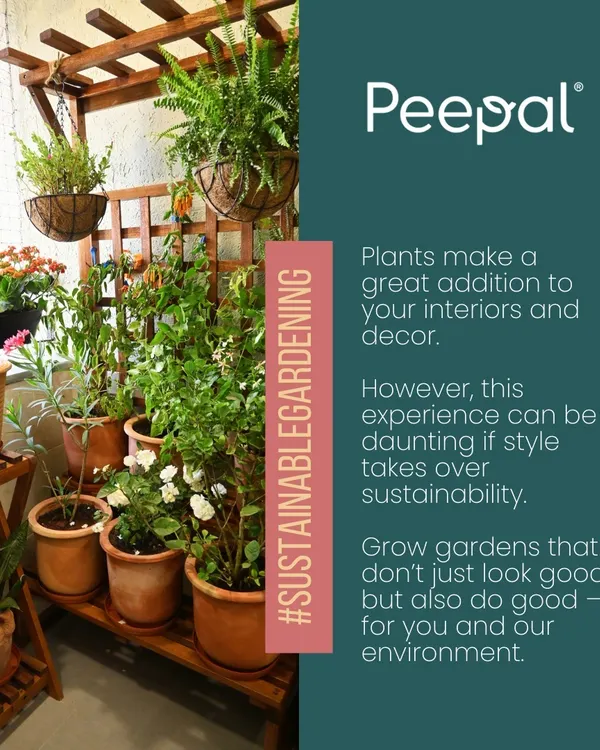 An example of sustainable and stylish design. This balcony features plants in terracotta pots on wooden racks and hanging coir baskets, all of which are natural, breathable, and eco-friendly materials.