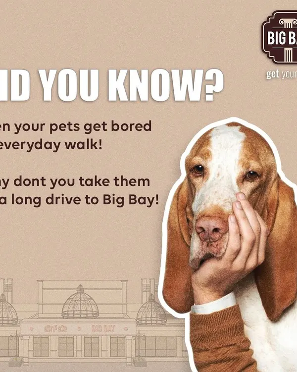 Even your pets get bored of the everyday walk. Why not take them on a long drive to Big Bay for a change of scenery?