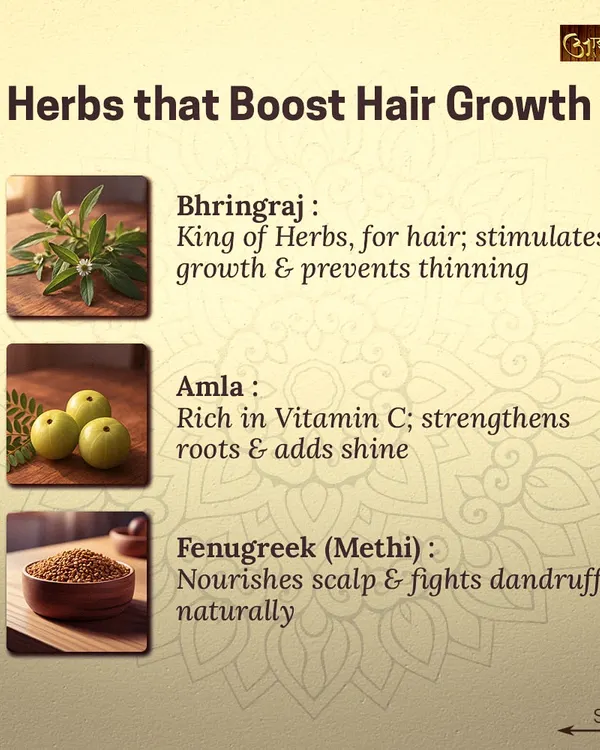 For natural hair growth, I turn to these powerful herbs. Bhringraj, known as the "king of herbs for hair," stimulates growth, while Amla strengthens roots with Vitamin C, and Fenugreek (Methi) nourishes the scalp.