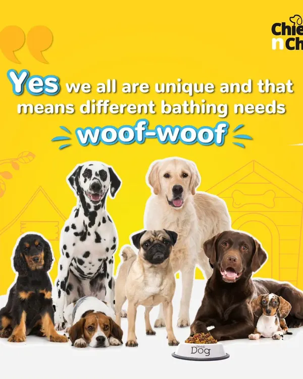 Yes, we are all unique, and that means different bathing needs. This series of posts explains how to choose the right shampoo and bathing technique based on your dog's coat type and size.