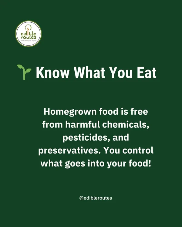 The most important reason to grow your own food is to know what you eat. Homegrown food is free from harmful chemicals and pesticides, giving you complete control over what goes on your plate.
