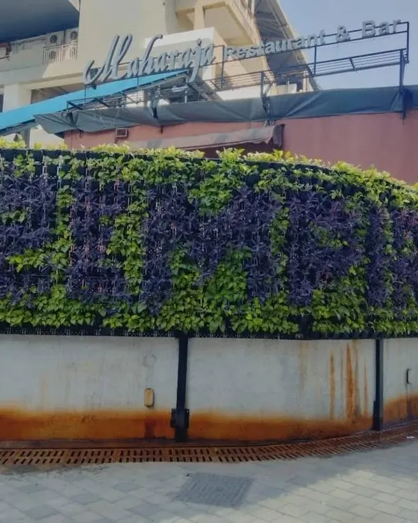 We help businesses stand out with custom-branded green walls. For this restaurant, we designed a living sign using contrasting purple and green plants, creating an unforgettable, eco-friendly facade that welcomes guests.