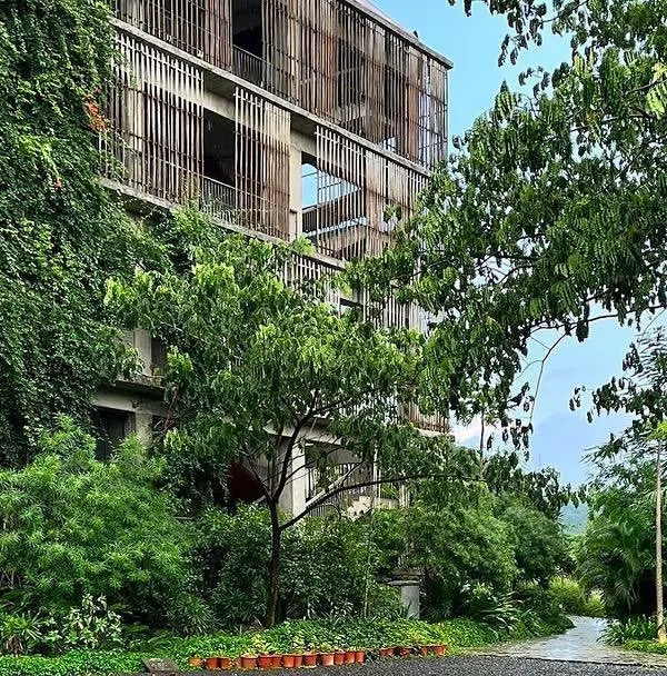 The Avasara Academy campus during the monsoon is a testament to the power of long-term, sustainable landscape design. The greenery has completely taken over, creating a cool and shaded environment.