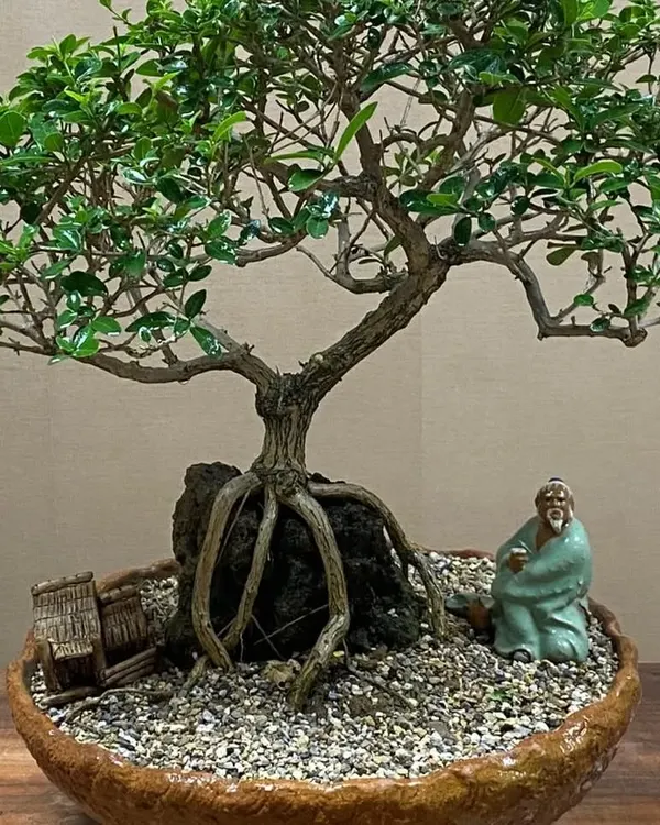 A closer look at a Premna bonsai, showing the intricate root structure gripping the rock and the carefully pruned foliage. I added a miniature figurine to complete this peaceful, meditative scene.