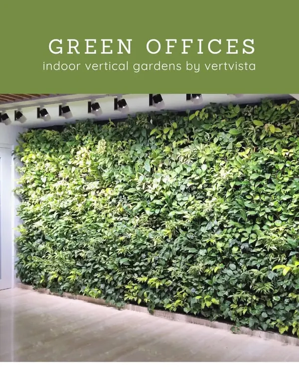 A floor-to-ceiling living wall in a modern office space. This installation acts as a natural air purifier and a stunning visual centerpiece, promoting a healthier and more vibrant work environment for employees.