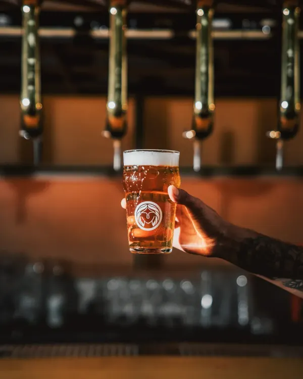 A freshly poured glass of one of our 16 craft beers, held up against the warm glow of the bar taps. Each brew is selected for its quality and character.