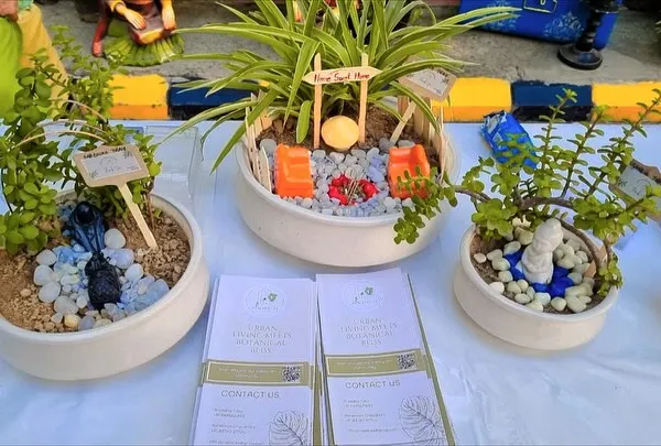 Here is a selection of my miniature desk gardens on display at an event. Each one offers a different theme, from a tranquil zen garden to a playful campsite, showing the variety I can create for corporate or personal gifting.