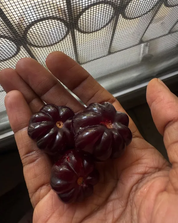 A look at my own plate, featuring homegrown Surinam cherries. I love using traditional ingredients like soppina huli and pattrode, always connecting back to my roots.