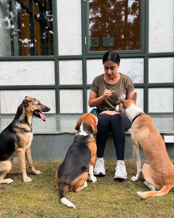 Welcome to our pack. Here, dogs of all breeds, like this German Shepherd, Beagle, and Indie mix, learn to coexist peacefully. This moment captures the core of our philosophy: structured, supervised group settings that build confidence and calm, happy dispositions in every dog.