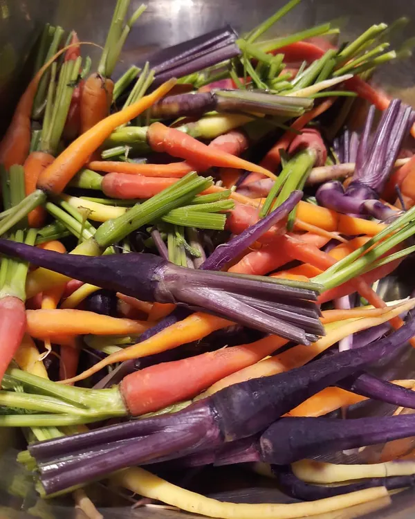 A bowl of vibrant, multi-colored heirloom carrots. We believe in starting with the best, which is why we source fresh, exotic, and high-quality ingredients that are the foundation of our creative and flavorful dishes.