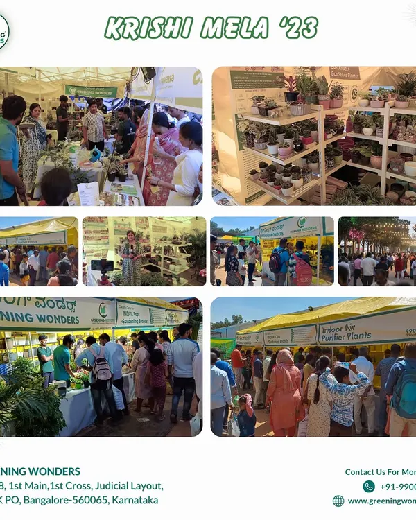 This collage captures the vibrant atmosphere at our stall during Krishi Mela '23. We were delighted to see so many people interested in learning about indoor air purifier plants and sustainable gardening.