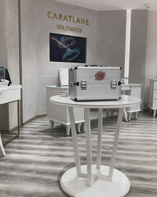 My professional makeup kit, ready for a masterclass at the elegant Caratlane store. I bring all the necessary tools and products to provide a complete learning experience.