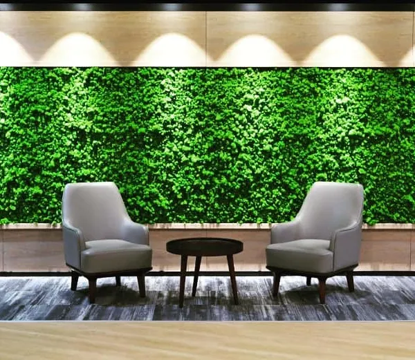 A full-length preserved moss wall installation for Akamai Technologies, designed as a serene backdrop in a common seating area. The vibrant green texture provides a natural visual element and also helps with sound absorption in the open space.