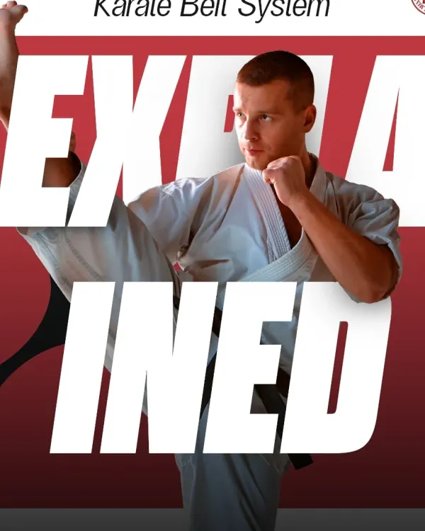 This is the Karate Belt System Explained. It's a visual representation of your journey, from the beginning to mastery. Each belt is earned through dedication and hard work.