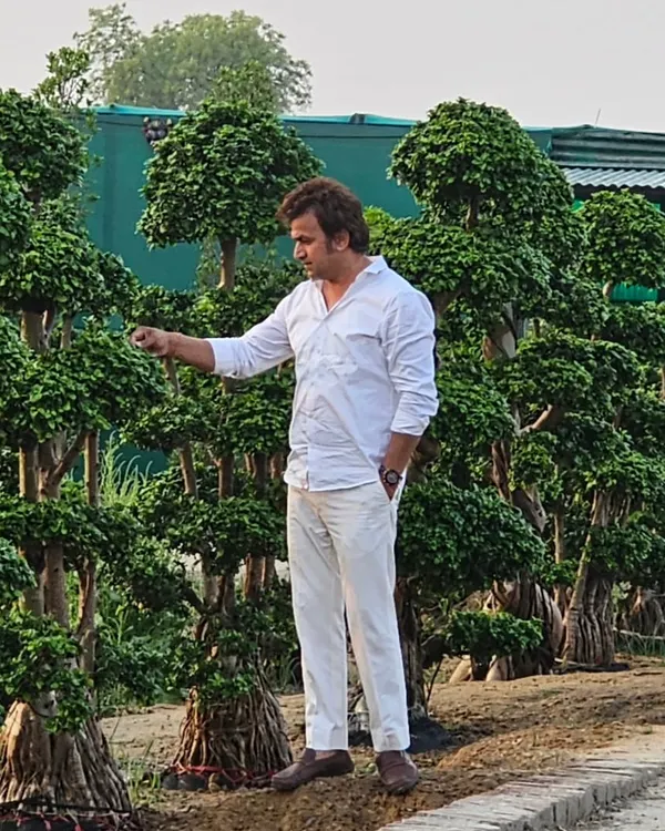 Here I am at my nursery with a collection of large, mature Ficus bonsai trees. This shows the scale and quality of the plants I cultivate and care for.
