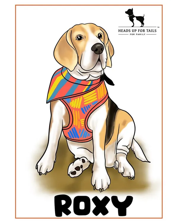 A full-color digital illustration of a Beagle named Roxy, created for a pet shop event. I love capturing the distinct features and colorful accessories of every pet.