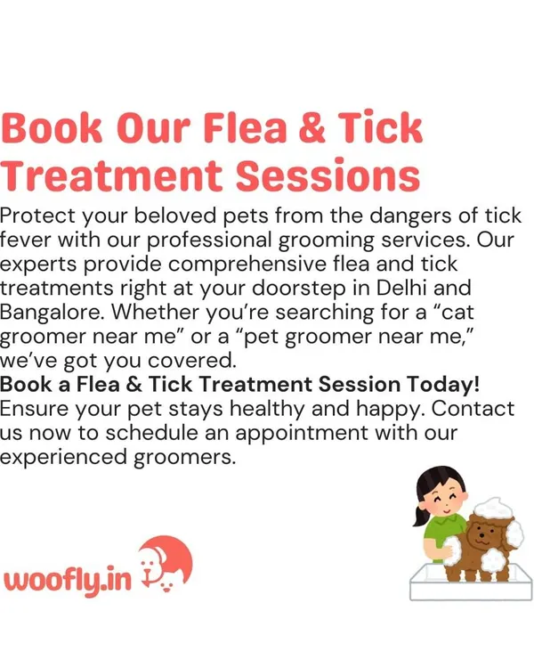 Book a flea and tick treatment session to safeguard your pet. My professional grooming and treatment services are available at your home, providing comprehensive protection against dangerous parasites.