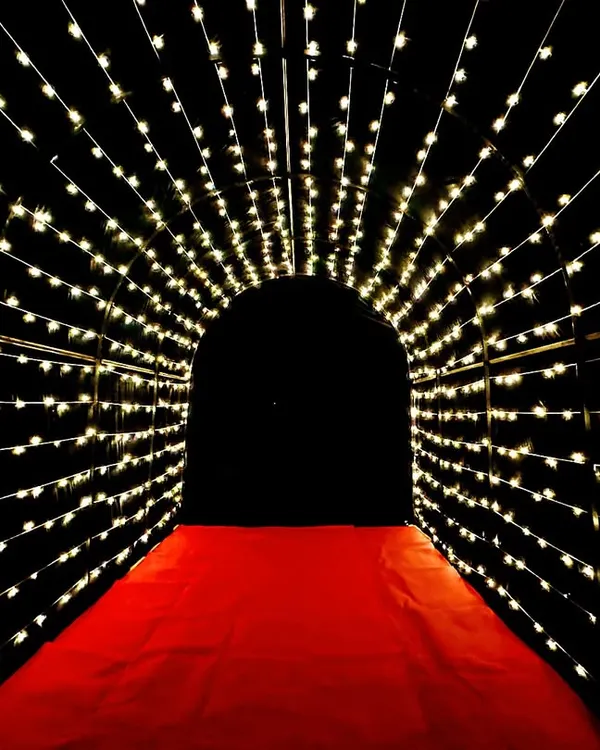 Create a breathtaking entrance or photo opportunity with my fairy light tunnel. The glowing arches and red carpet combine to make every guest feel like a VIP.