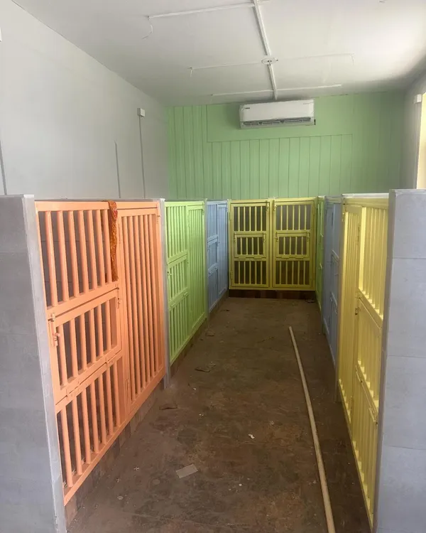 A look at our colorful and clean indoor suites. We wanted to create a space that feels cheerful and welcoming, not like a typical kennel. Each suite is air-conditioned for comfort.