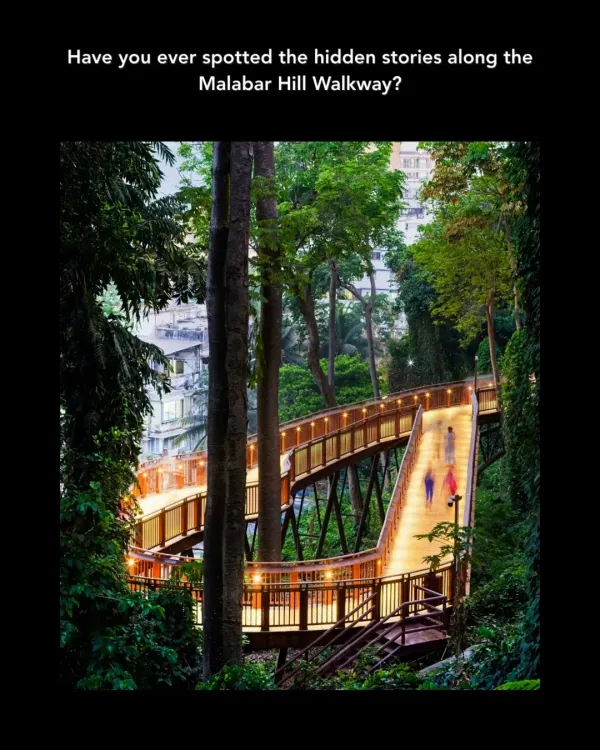 The Malabar Hill Forest Trail at night, an urban intervention designed to reconnect the city with its hidden wilderness. This elevated walkway offers a unique encounter with nature, creating a serene public space with minimal environmental impact.
