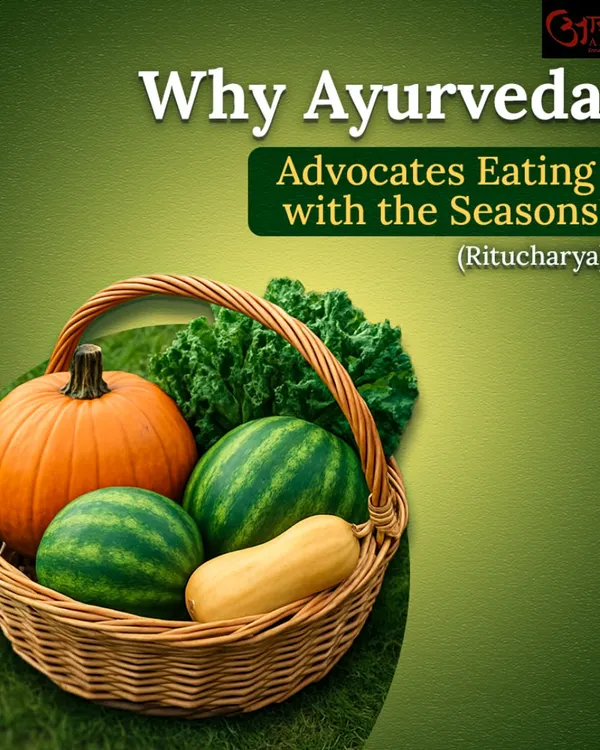 'Ritucharya', or seasonal living, is a core principle of Ayurveda. This image of a basket filled with seasonal produce illustrates the importance of eating what nature provides in each season to maintain health and balance.