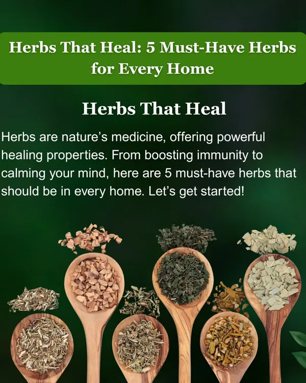 Herbs are nature's medicine. This collection introduces five must-have herbs that should be in every home for their powerful healing properties.