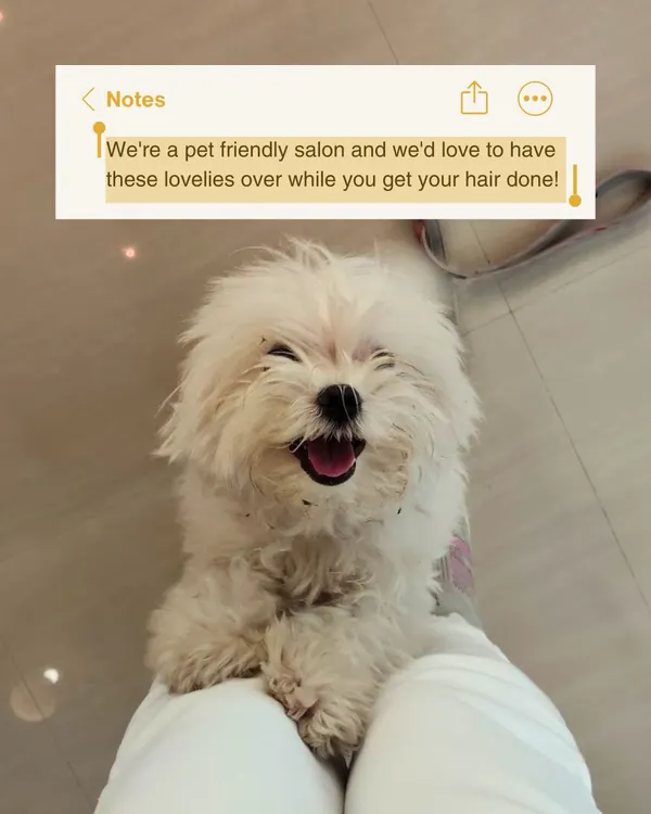 This note says it all. We are a pet-friendly salon and would love to have your lovely companions over while you get your hair done. This happy face is proof.