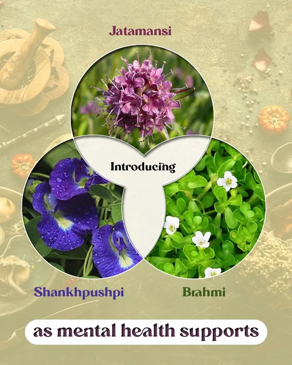 If you are feeling stressed or find it hard to focus, Ayurveda offers time-tested herbs for mental wellness. We introduce Brahmi to calm the nervous system, Shankhpushpi to improve focus, and Jatamansi to reduce anxiety and restlessness.