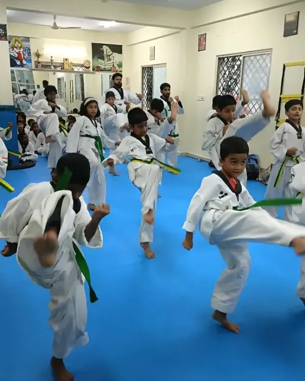 A class of green belts practicing their front kicks (Ap Chagi) in unison, building power and precision with every movement.