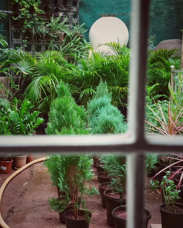 The view from our window on a rainy morning at the nursery is priceless. The entire garden center comes alive, filled with the fresh scent of rain and earth. Come visit us and experience this joy.