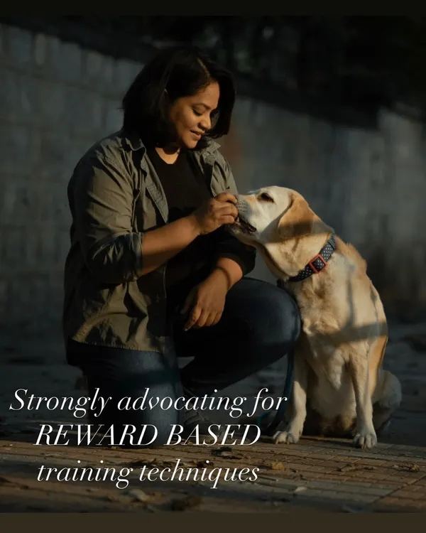 This image captures the heart of my training philosophy. I believe in building a bond based on trust and positive reinforcement, not fear. My goal is to help your dog feel safe and confident, using science-backed, reward-based techniques to create lasting change.