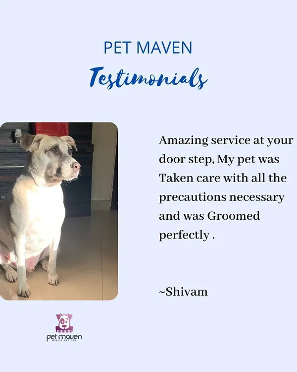 We love hearing from happy pet parents! This testimonial highlights our safe, thorough, and convenient at-home grooming service.
