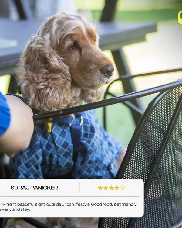 "Starry night, peaceful sight, outside urban lifestyle. Good food, pet friendly, brewery and stay." We're so glad Suraj and his furry friend enjoyed the vibe.