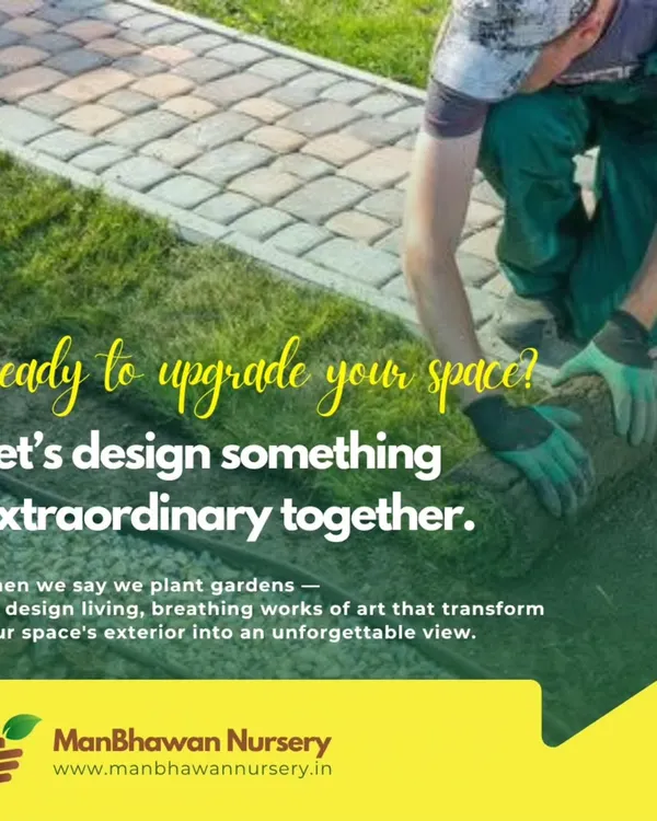 This image of a new lawn being laid captures the essence of my landscaping service. I handle everything from the initial design to the final installation, transforming your outdoor space into an extraordinary and functional view you can enjoy every day.