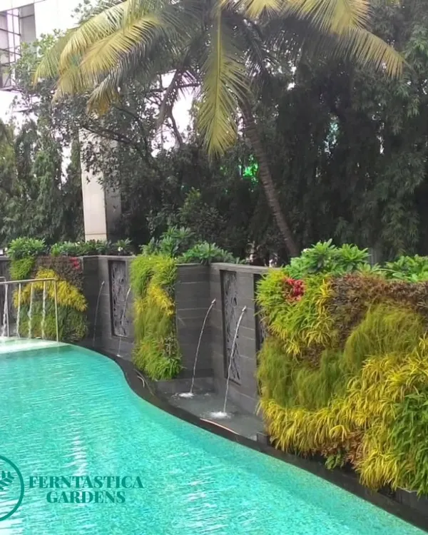 We created this stunning green wall for the Sahara Star hotel, integrating it with water fountains to create a poolside paradise. This project shows how we blend nature and design to not only add beauty but also provide essential privacy for guests, even in the heart of a bustling city.