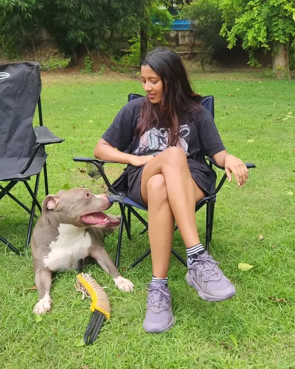 Taking a break during a play session with this lovely Pitbull. It's important to teach dogs how to settle and relax during play to prevent over-arousal.