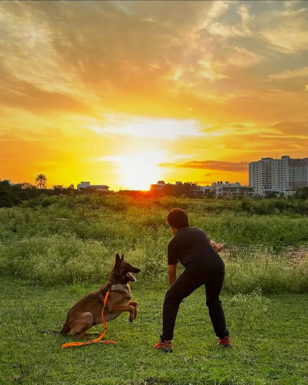 This is what it's all about: pure joy and connection. My goal is to help you create more beautiful moments like this one with your dog, enjoying a stunning Bangalore sunset after a day of fun and learning.