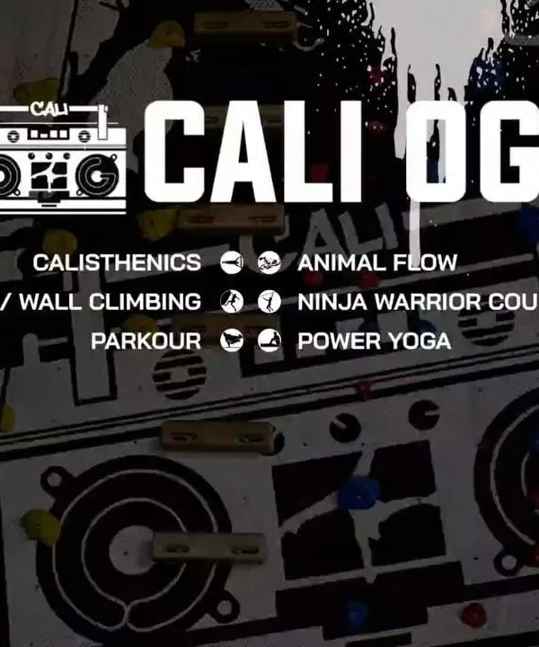 Our summer camp for kids is back. We offer a range of activities from calisthenics and animal flow to wall climbing and parkour, all designed to make fitness fun and build a strong foundation.